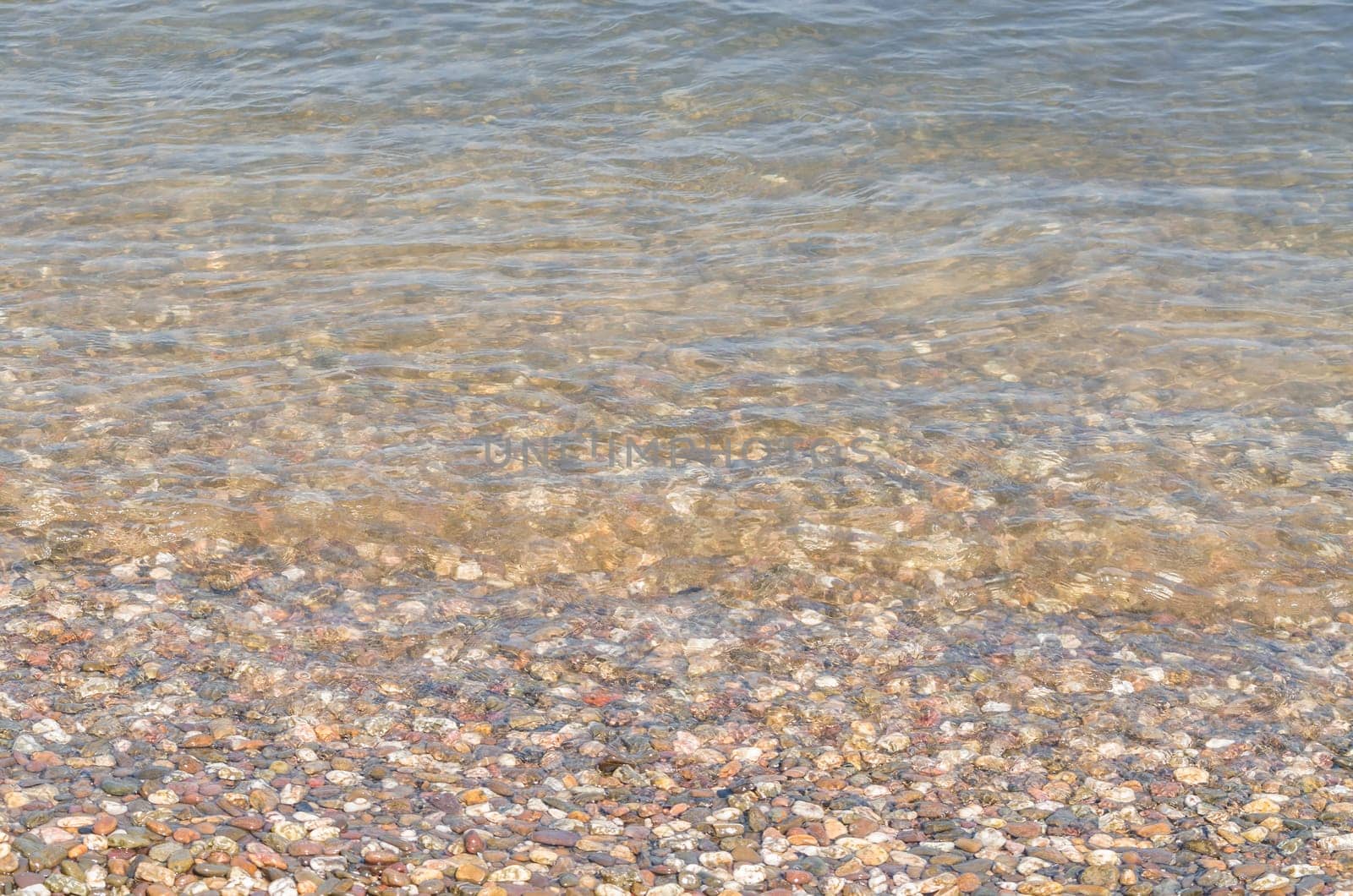 Shoreland,overlooking small pebbles in a clear river.