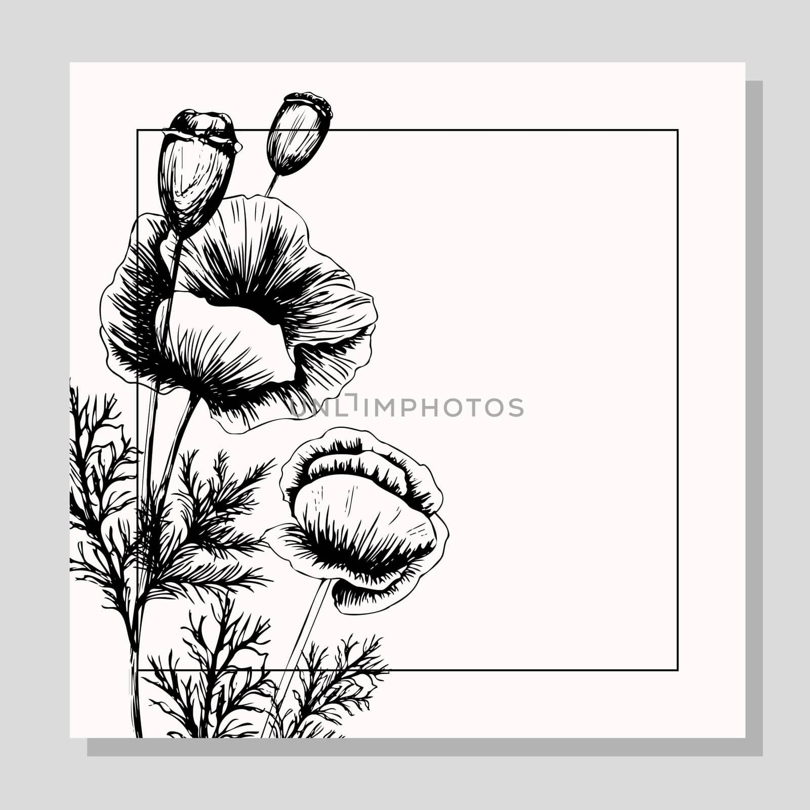 Banner with poppy flowers on a light background. Hand drawn poppy flowers. Symbol of the day of remembrance. Poster for the day of remembrance and victory