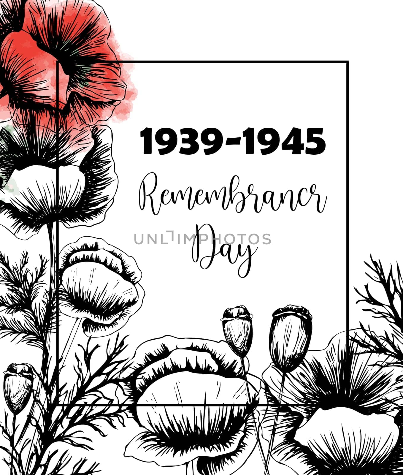 Second world war 1939-1945, victory day, memorial day poster or banner on poppy flowers background.Vector illustration of bright poppy flower. Memorial day symbol.