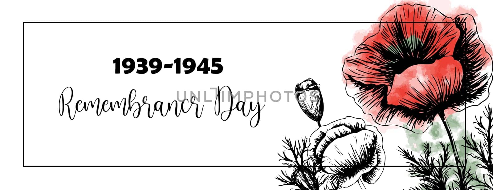 Second world war 1939-1945, victory day, memorial day poster or banner on poppy flowers background.Vector illustration of bright poppy flower. Memorial day symbol.