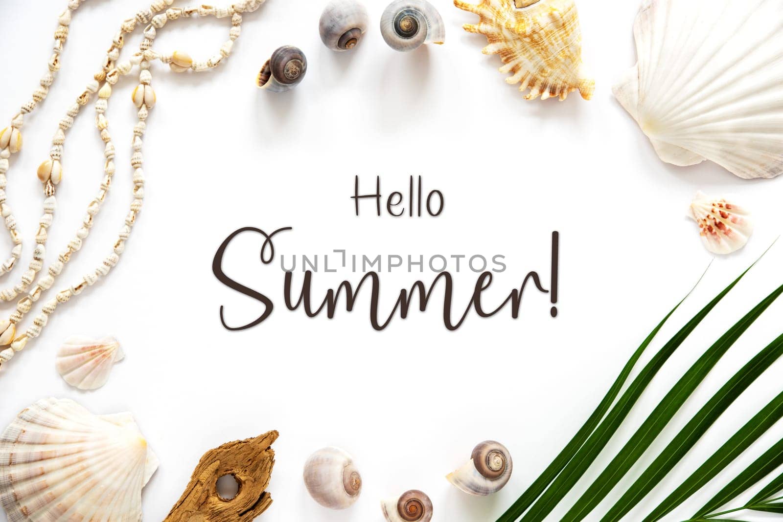 White Summer Flat Lay, Top View, Decorated With Shells and Plants, With English Text Hello Summer