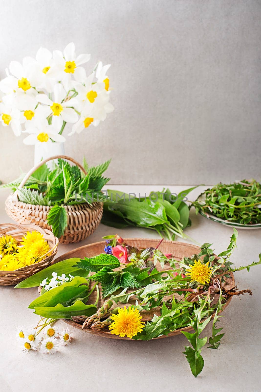 Spring table background with flowers, herbs and plants. Wild garlic, nettle, dandelion and other medicinal herbs and wild edible plants growing in early spring.