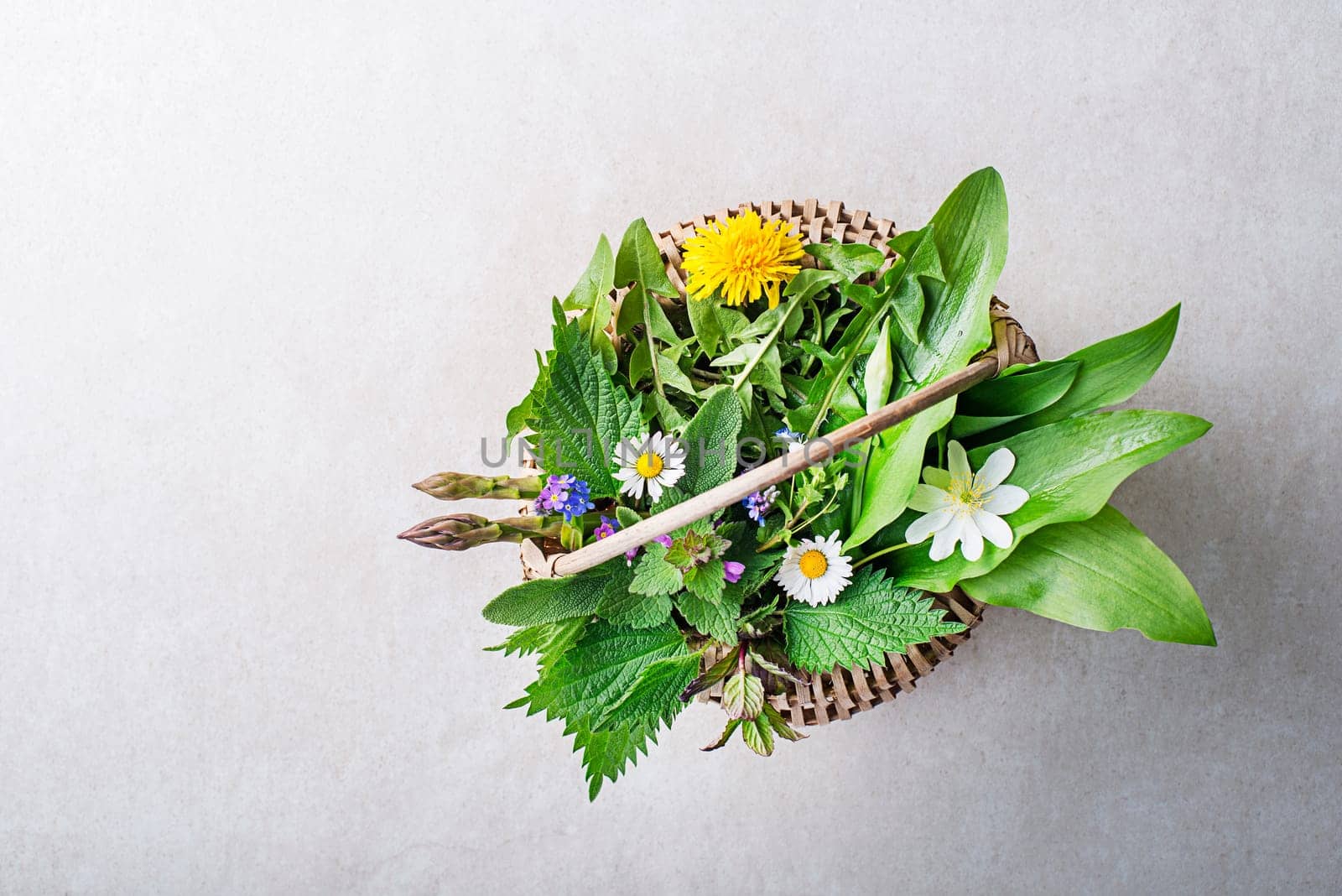 Spring table background with flowers, herbs and plants. Wild garlic, nettle, dandelion and other medicinal herbs and wild edible plants growing in early spring.