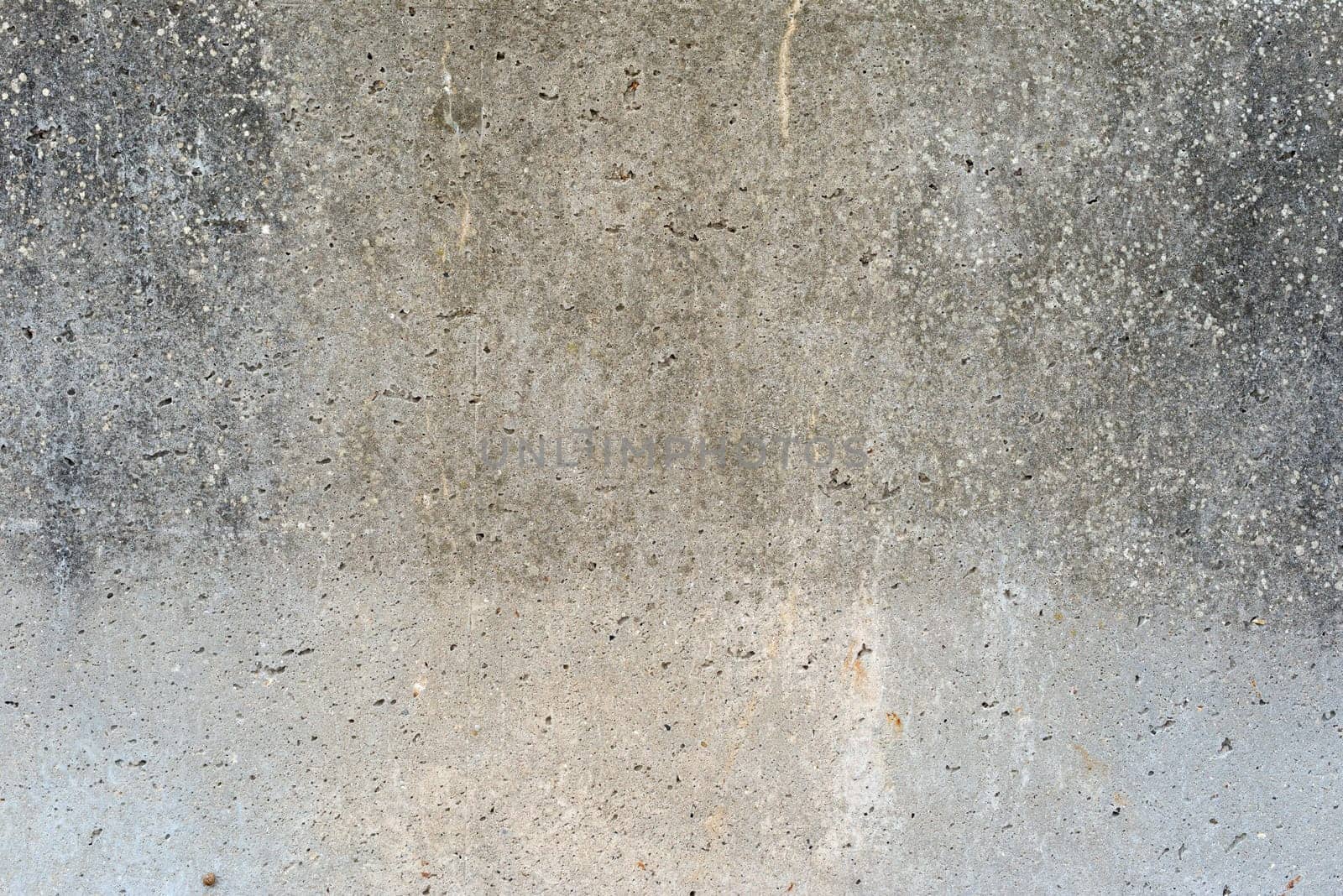 Old weathered concrete texture with small holes and lichens