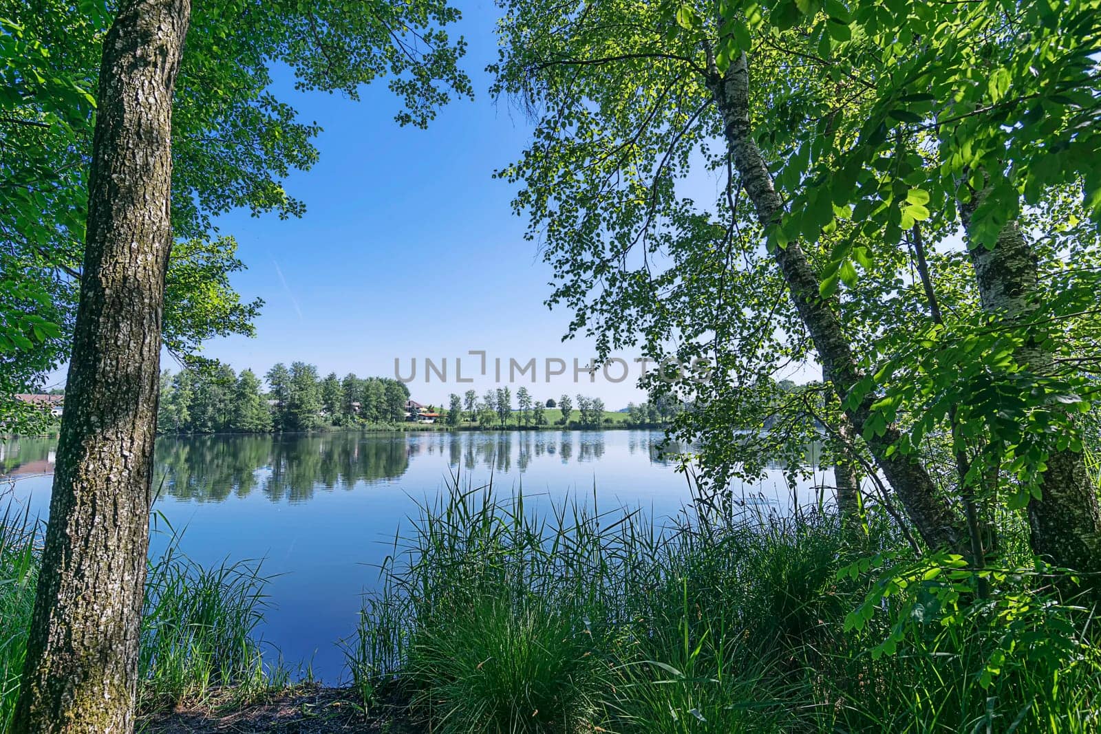 A look through the enchanting Soppensee