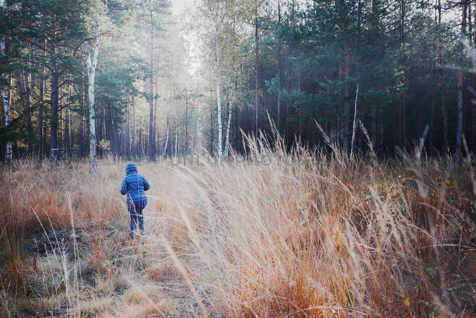 Woman walking through a meadow toward a forest. Forest in autumn season. Colorful foliage on trees lit by morning sunlight. Natural nature forest landscape in autumn warm sunlight day. Real people, authentic situations