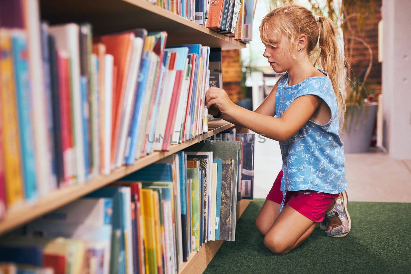 Schoolgirl looking for book for reading in school library. Student selecting literature for reading. Books on shelves in bookstore. Learning from books. Back to school. Elementary education. Doing homework