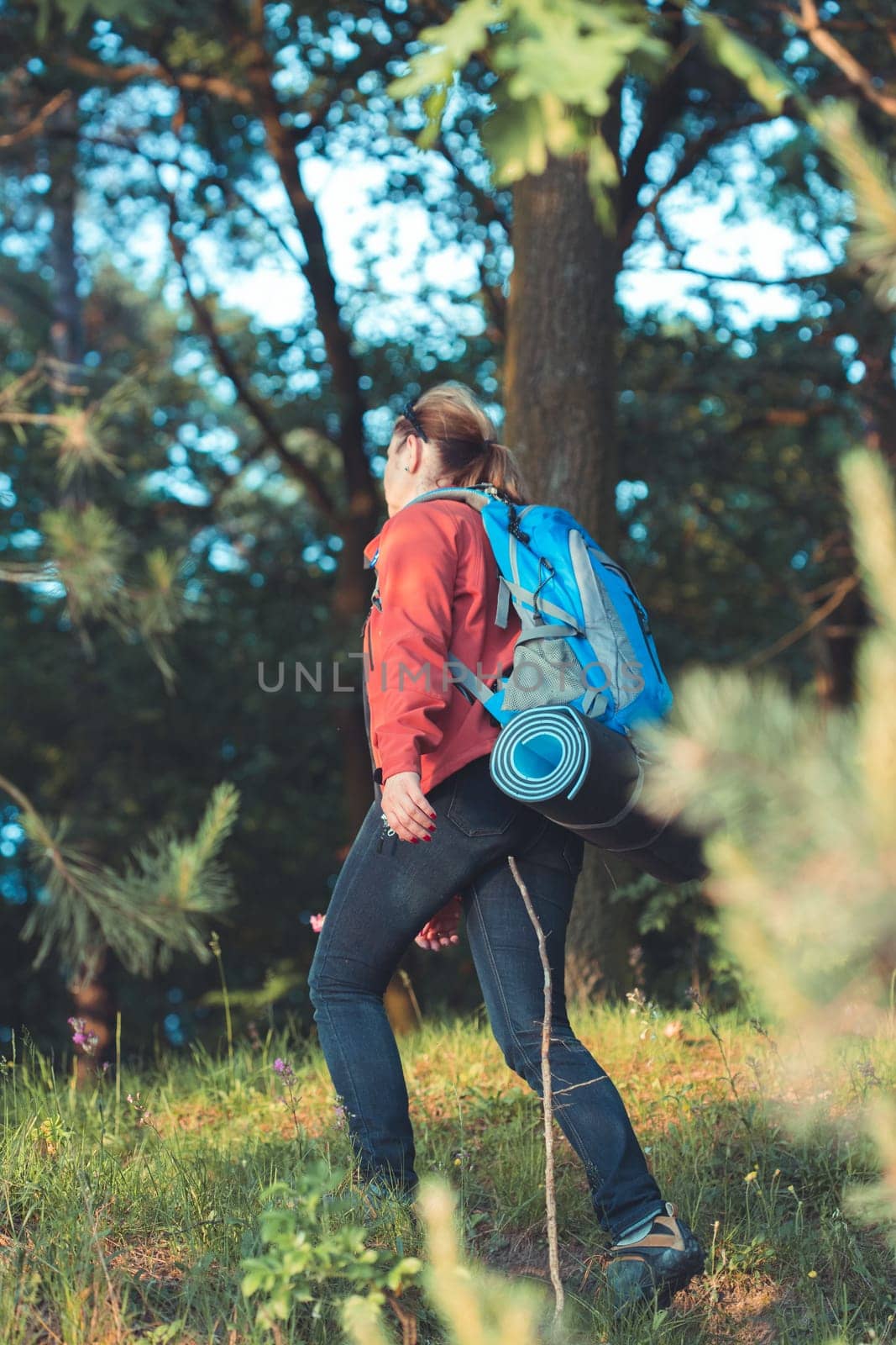 Young woman hiker with backpack walking along the path through the forest during summer vacation trip