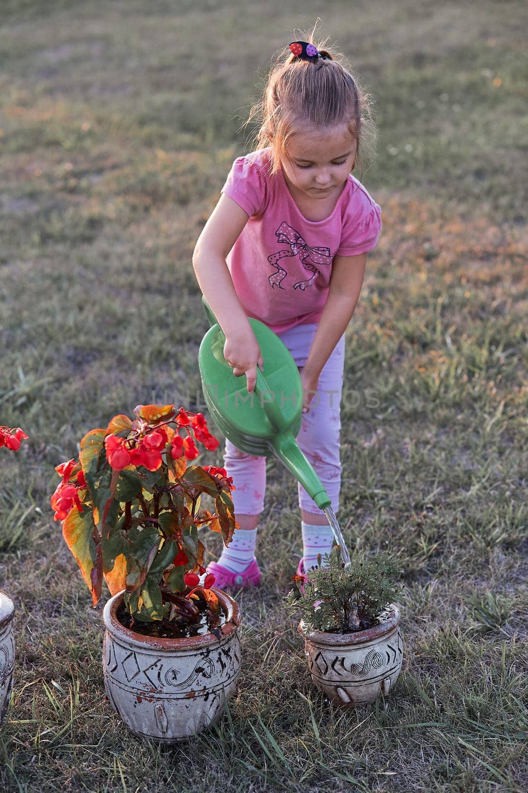Little girl helping to water the flowers growing in flower pot, pouring water from green watering can, working in backyard at sunset. Candid people, real moments, authentic situations