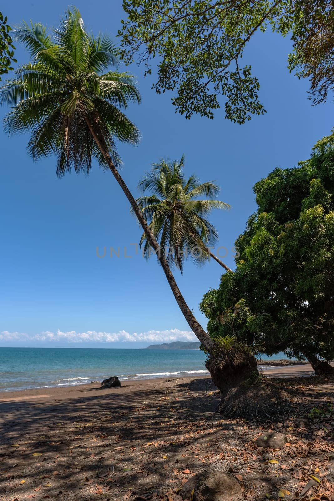 Sandy beach of the small town of Drake Bay, Puntarenas, Costa Rica