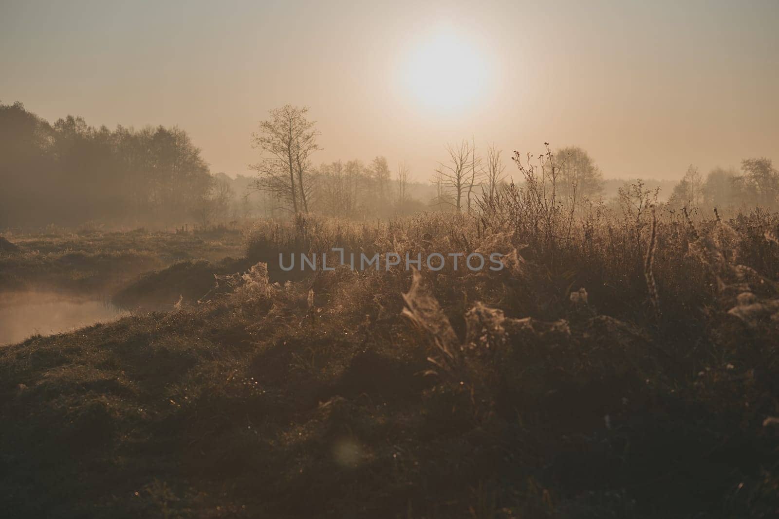 Sun rising above field and pond flooded with fog in the morning