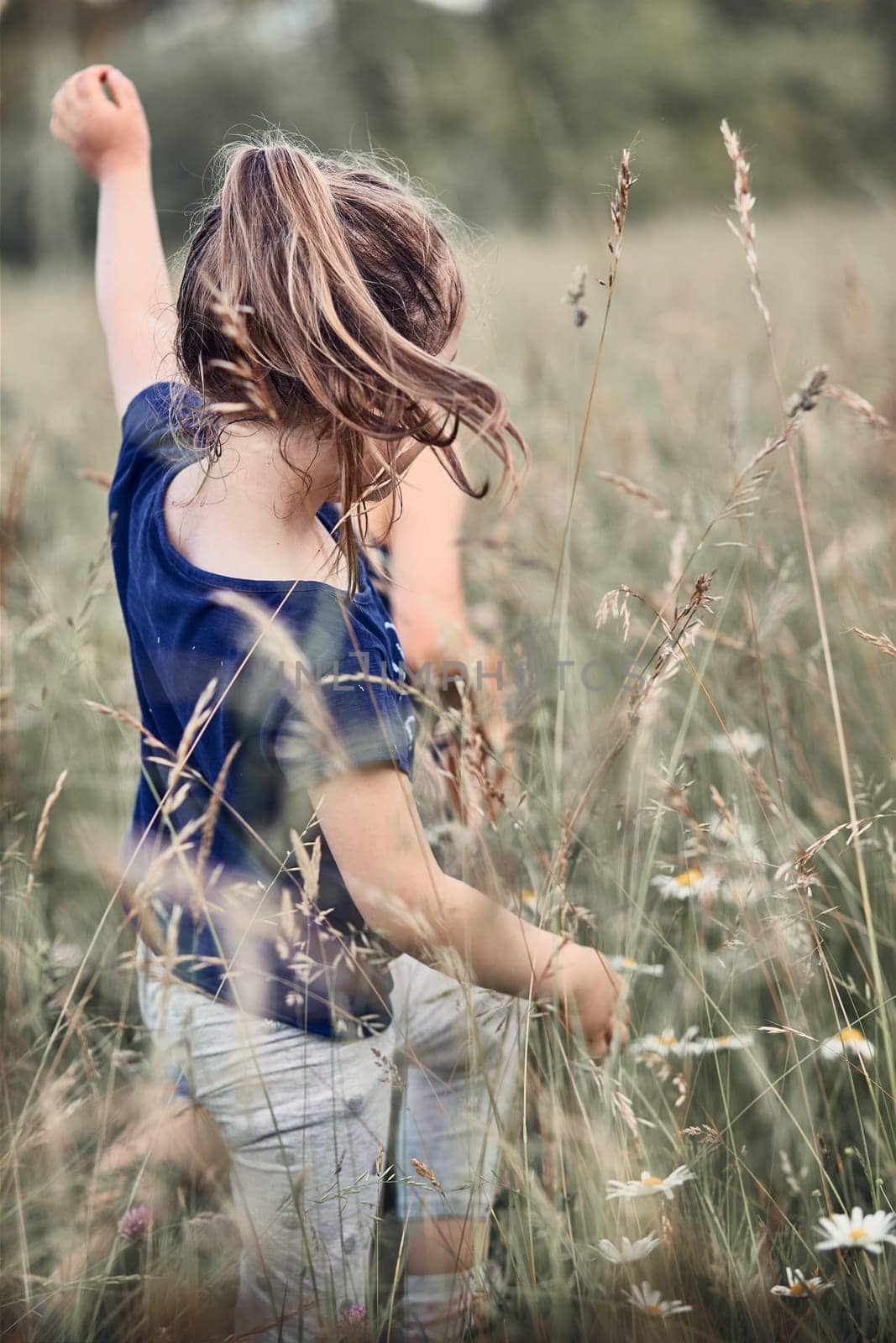 Little happy girl playing in a tall grass in the countryside. Candid people, real moments, authentic situations
