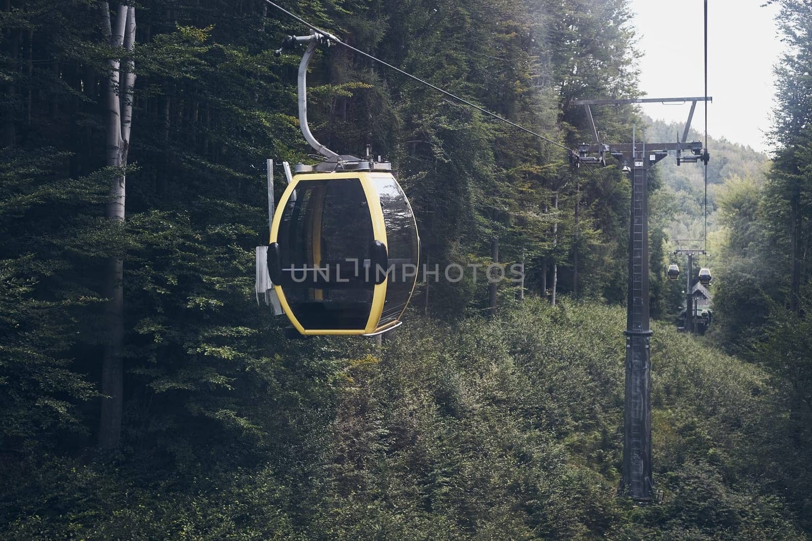 Cable car go to top of mountain among trees in forest on summer sunny day