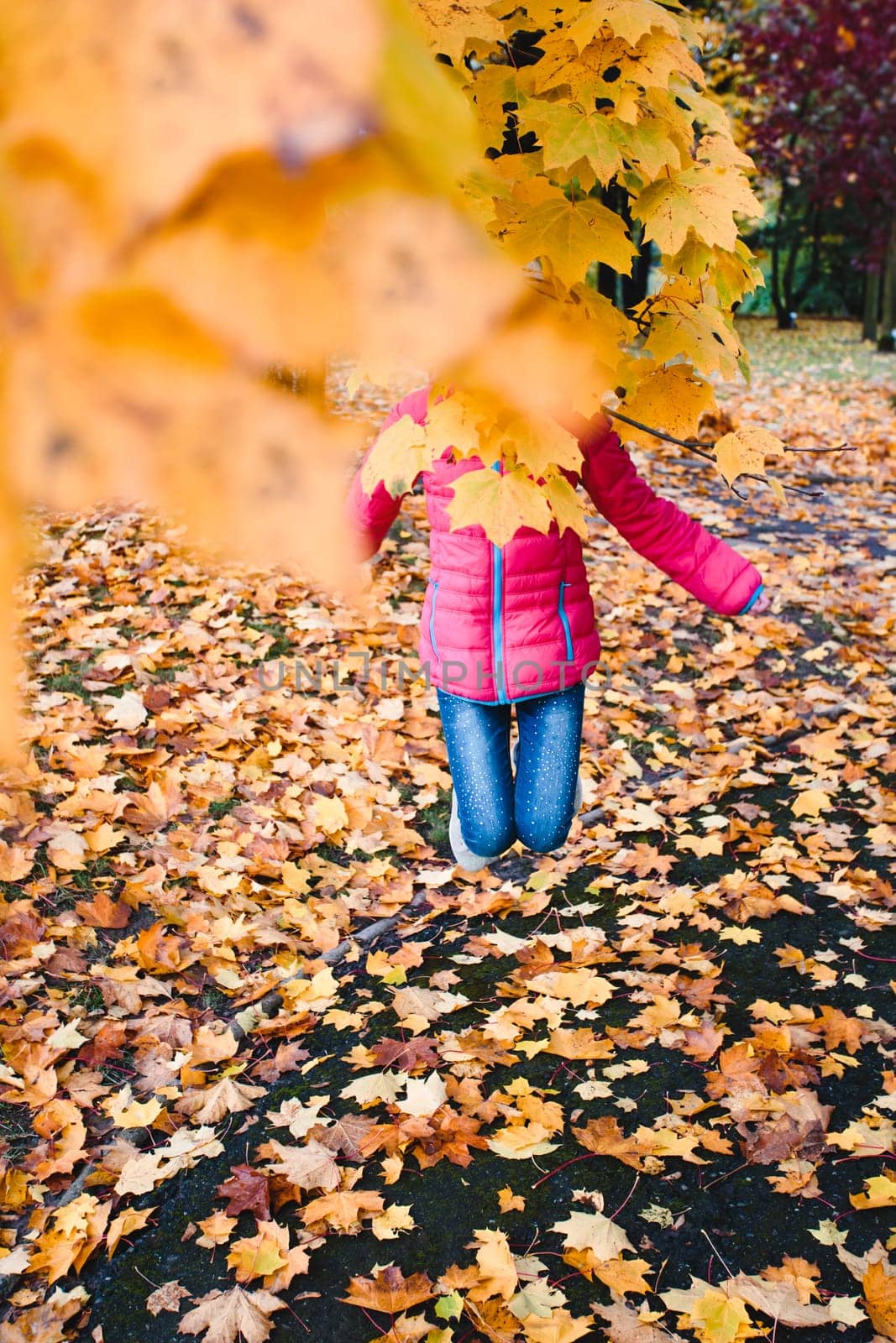 Girl jumping behind yellow autumn leaves in a park