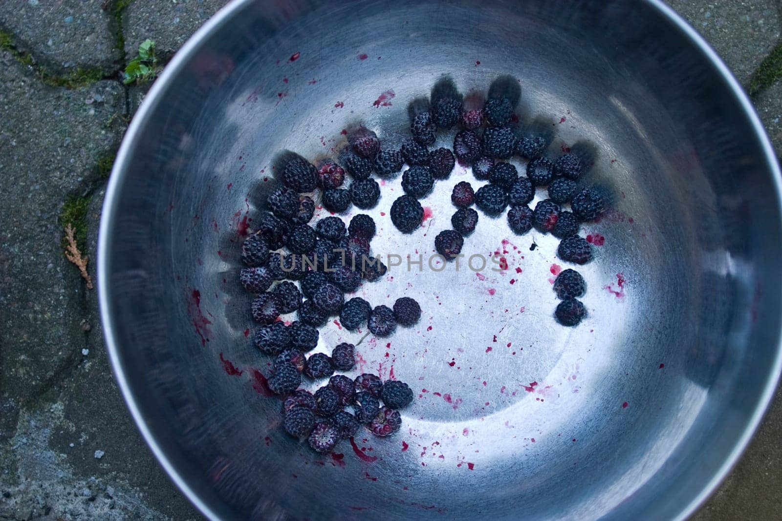 Blackberries in a bowl.