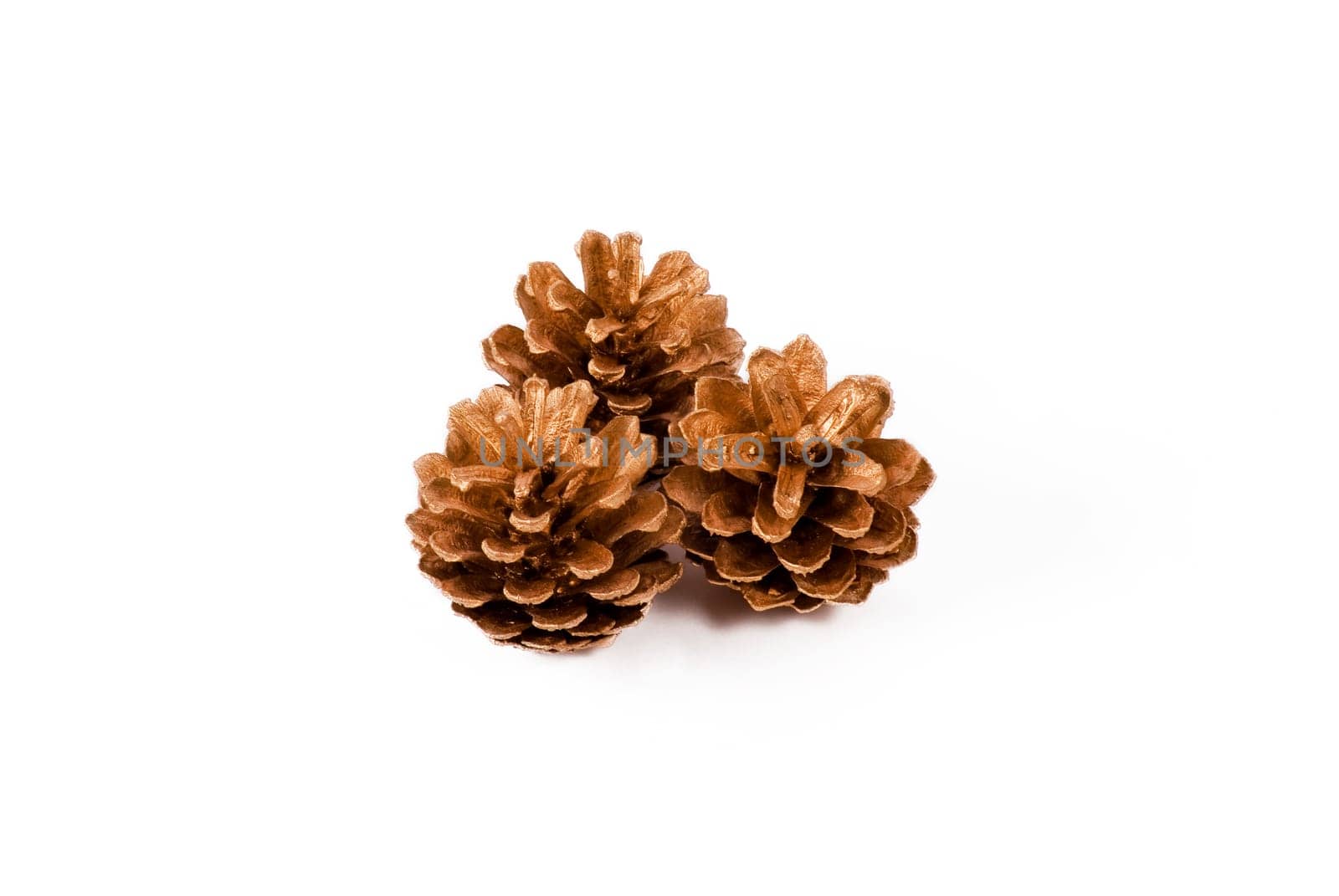 Christmas decoration of pine cones on white background