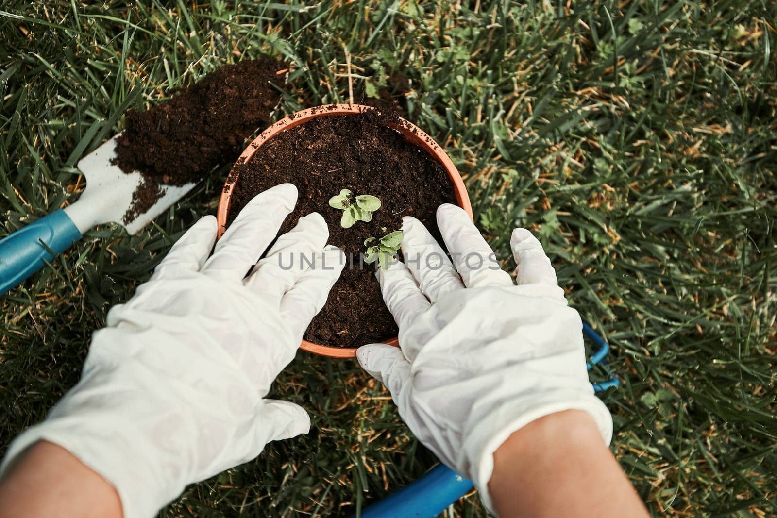 Gardener replanting plant into a new pot. Top view of female hands in gloves planting a plant. Using tools rake and shovel. Real people, authentic situations