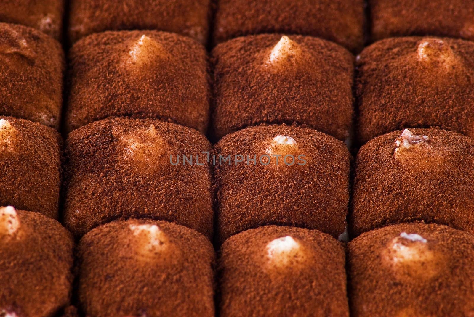 Close up of Italian tiramisu dessert