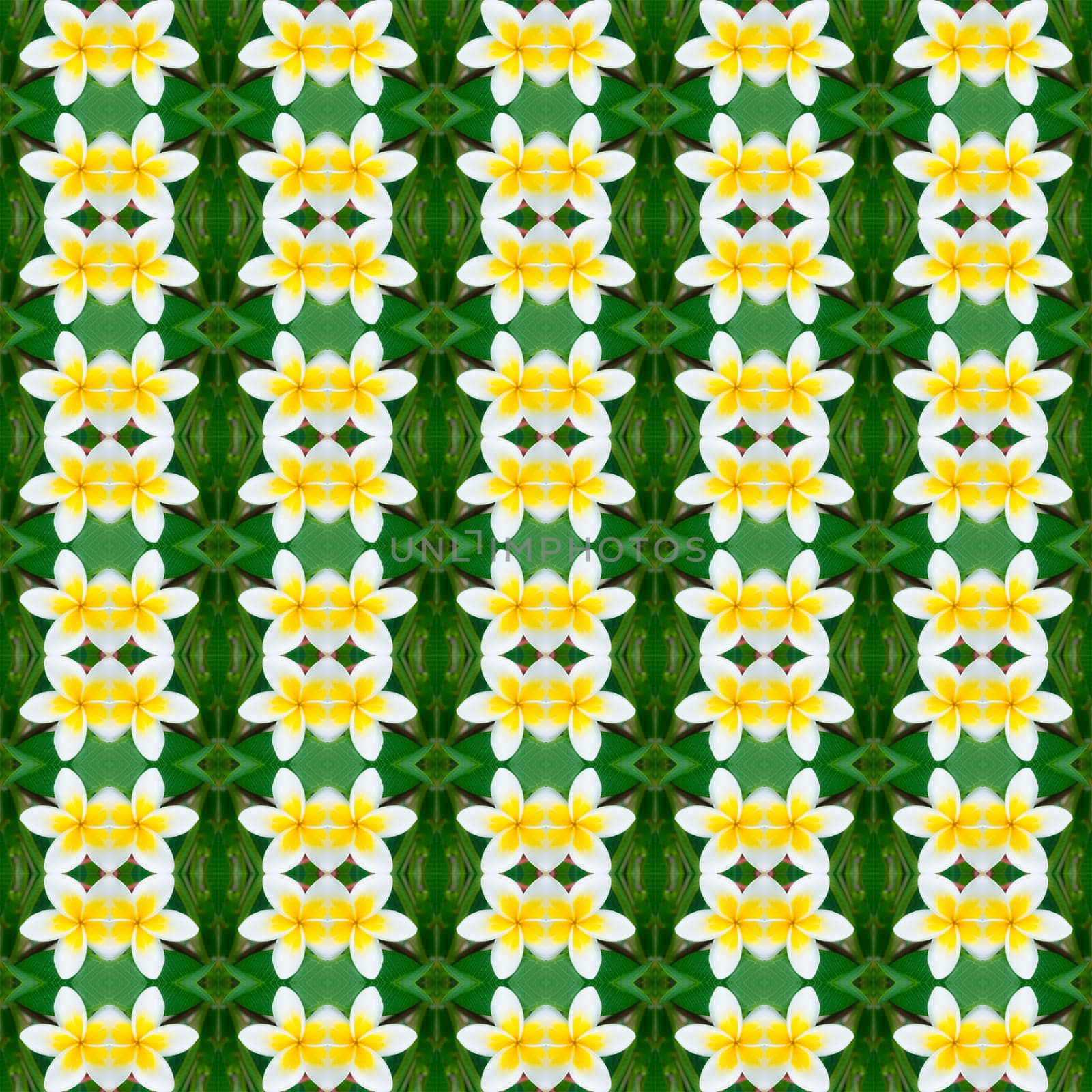 Seamless pattern for design, Close-up from flower