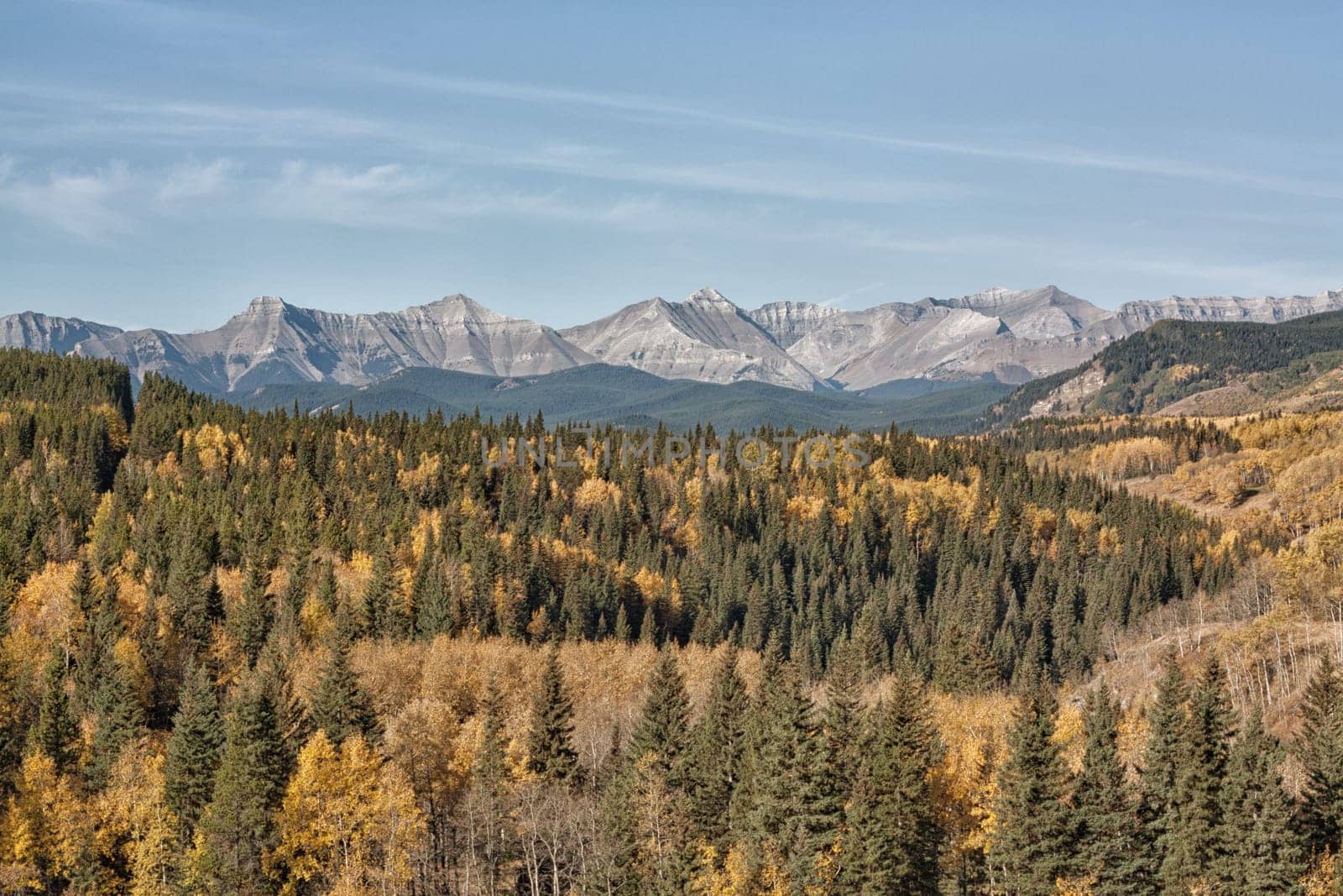 Landscape of Canadian rocky mountains in the Sheep River Valley in Kananaskis.