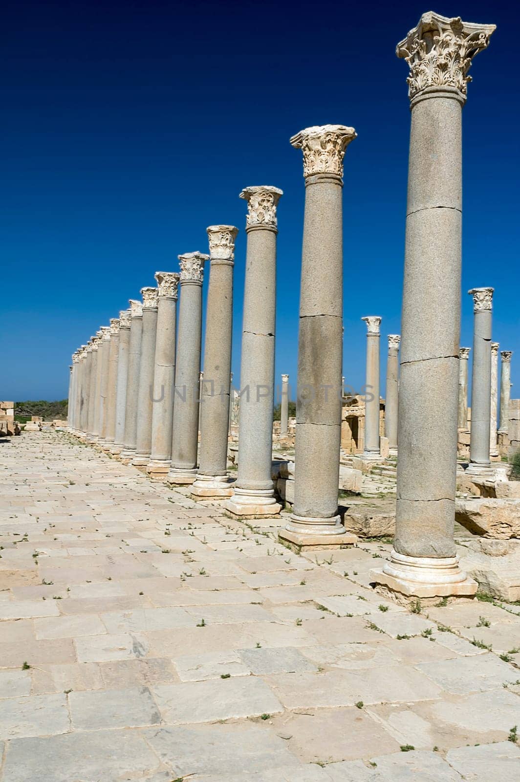 Archaeological site of Leptis Magna, Libya - 10/30/2006:  The Marketplace in the ancient Roman city of Leptis Magna.