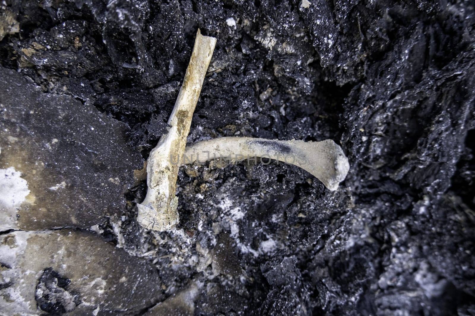 Detail of old crematorium with remains of human bones, cemetery