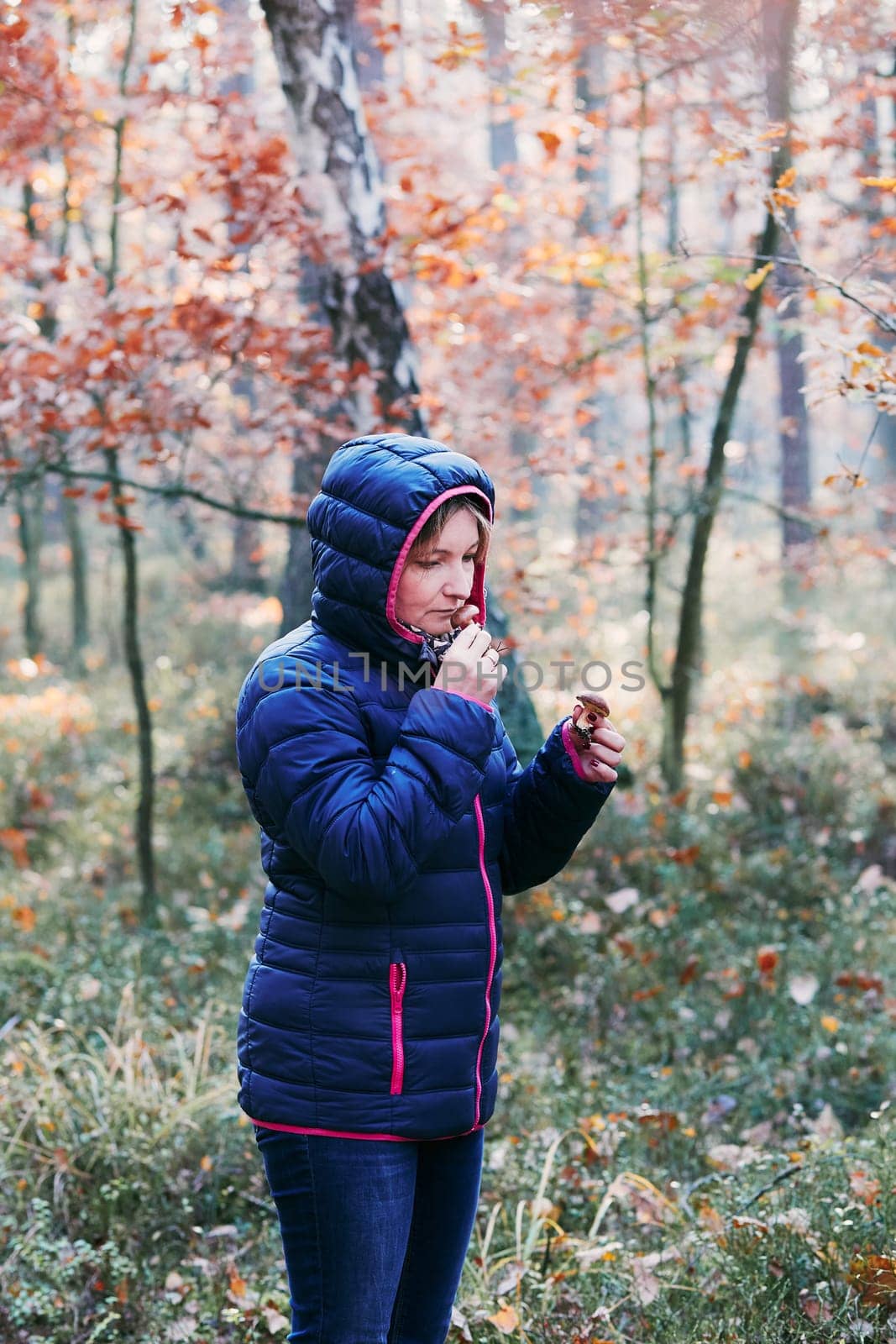 Woman smelling a mushroom picked in forest. Forest in autumn season. Colorful foliage on trees lit by morning sunlight. Natural nature forest landscape in autumn warm sunlight day. Real people, authentic situations