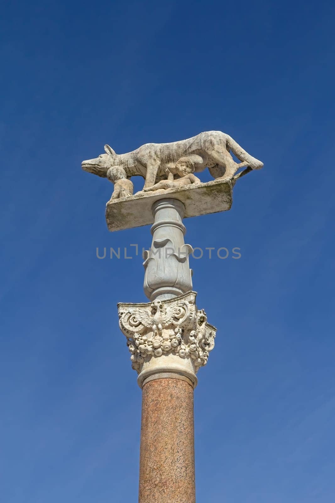 Siena Sienna Statue Statue of Wolf feeding Romulus and Remus. The symbol of Siena, Tuscany, Italy