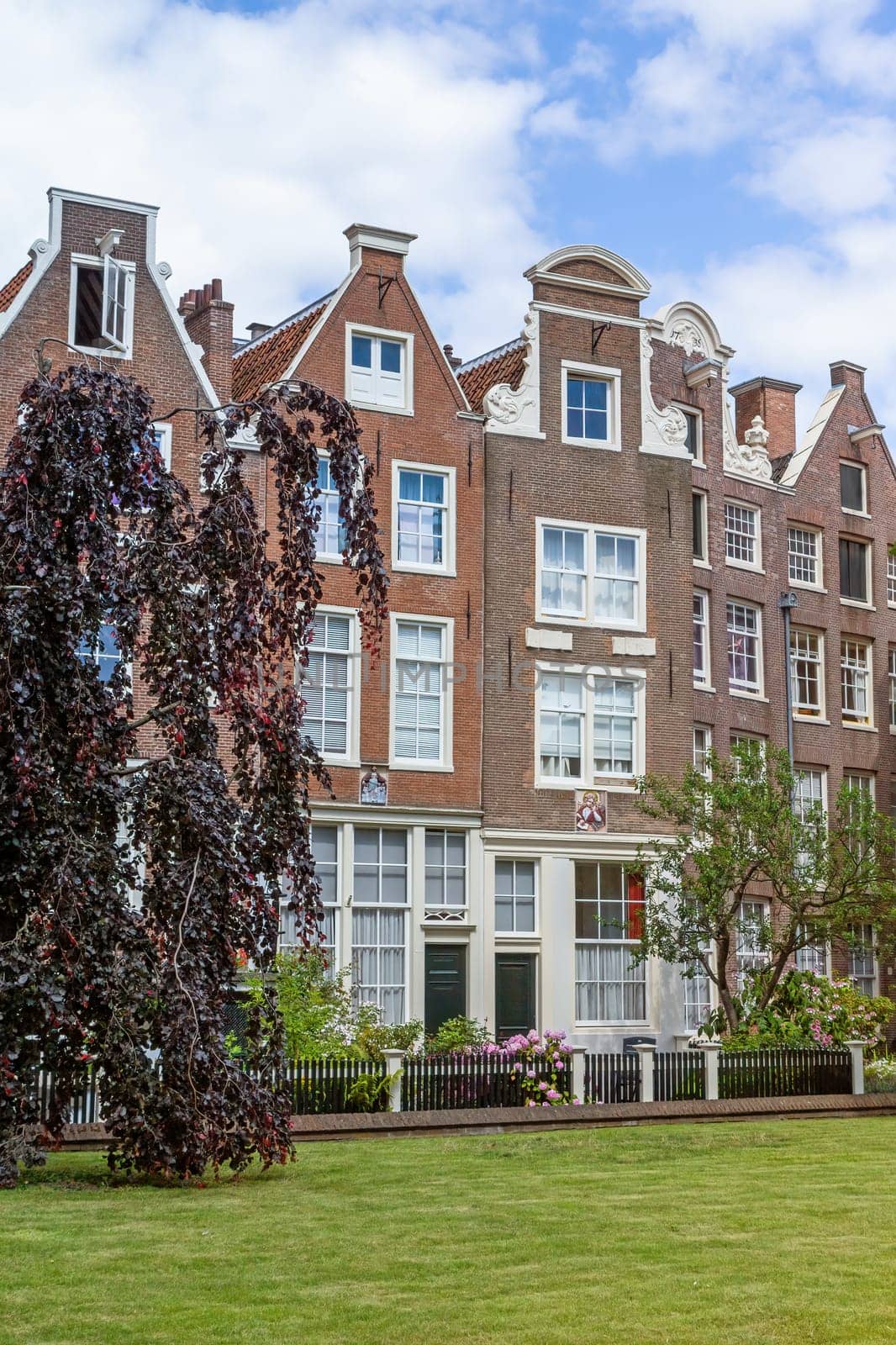 Amsterdam houses. in the park. Amsterdam. Netherlands.