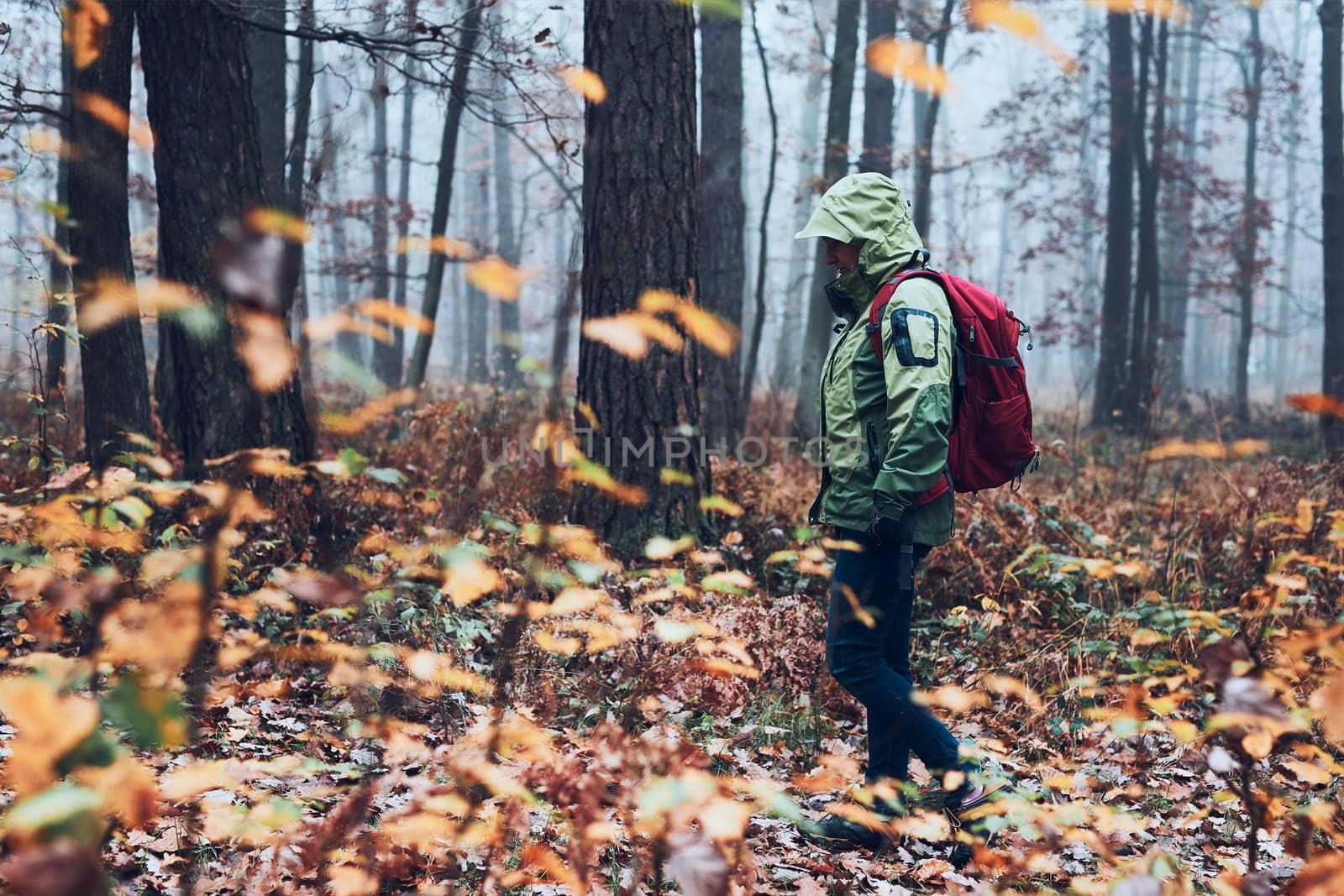 Woman with backpack wandering around a forest on autumn cold day. Back view of middle age active woman going along forest path actively spending time