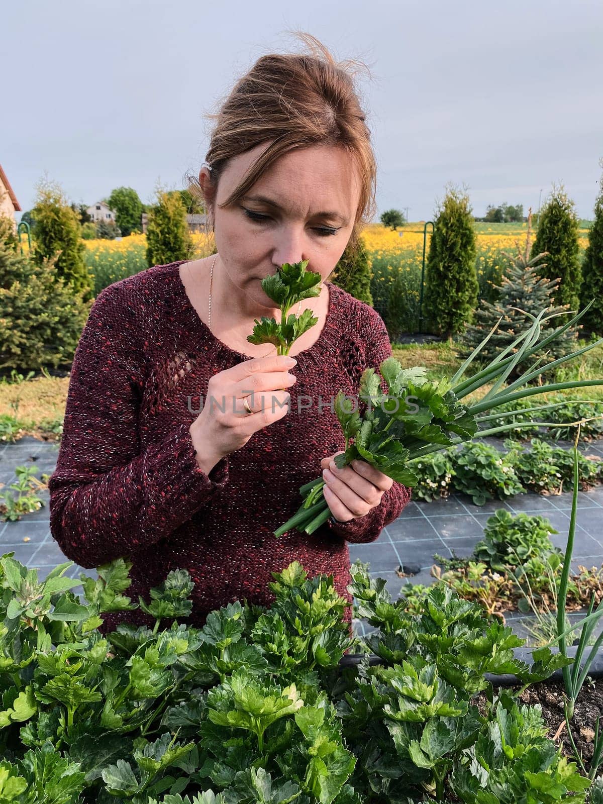 Woman picking the vegetables, working in a home garden in the backyard. Candid people, real moments, authentic situations