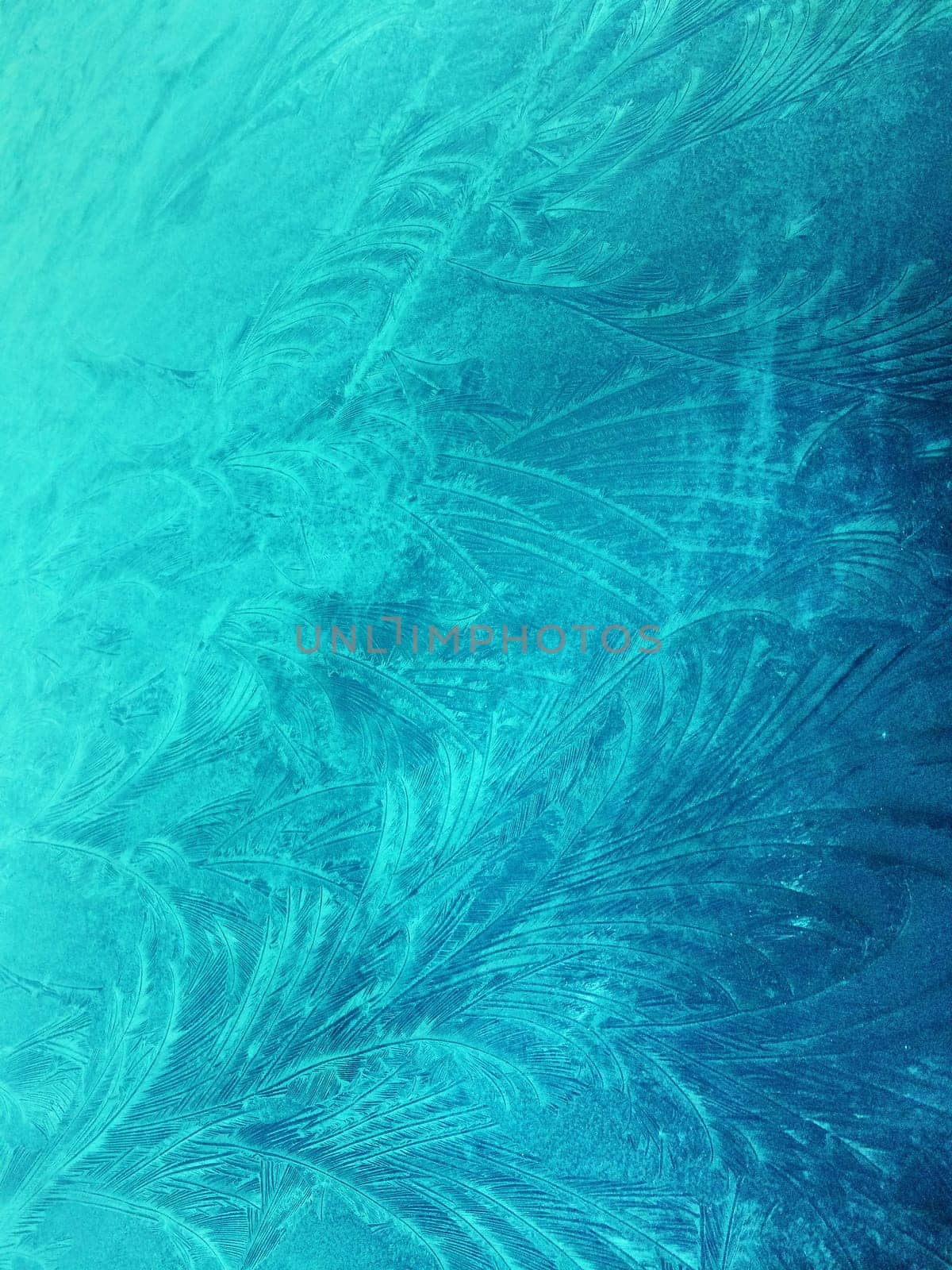 Frozen glass, ice flowers, winter background, abstract texture