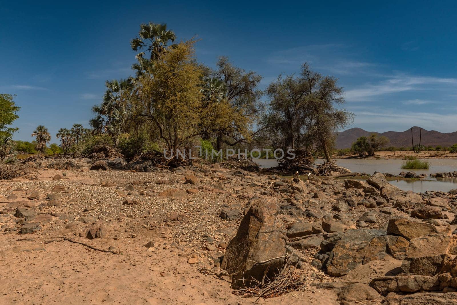 Landscape on the banks of the Kunene River, the border river between Namibia and Angola