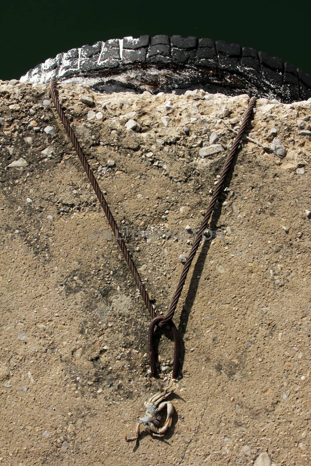 Iron ring and wire rope, a dead crab
