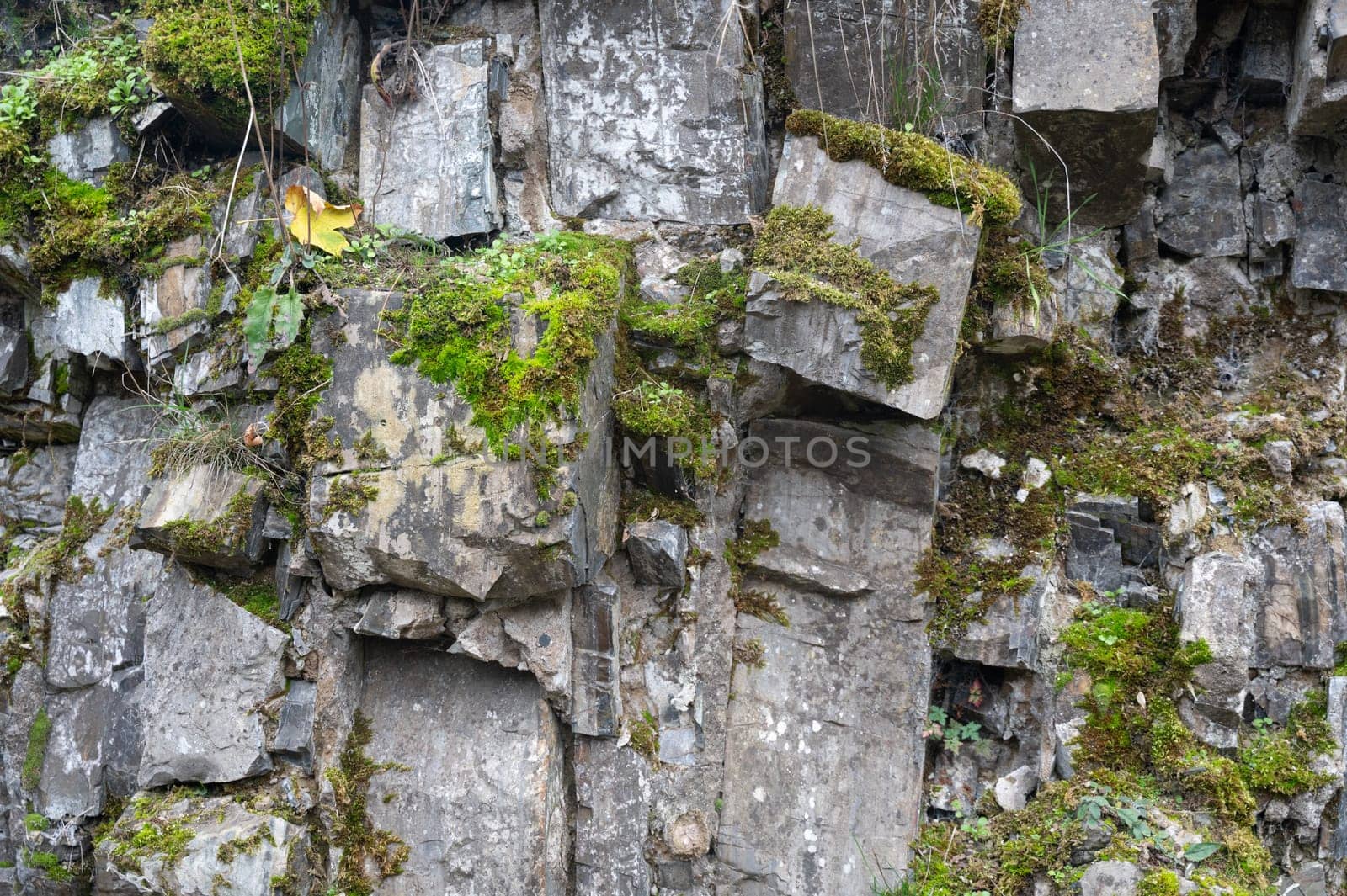 High rocky stone wall with green moss