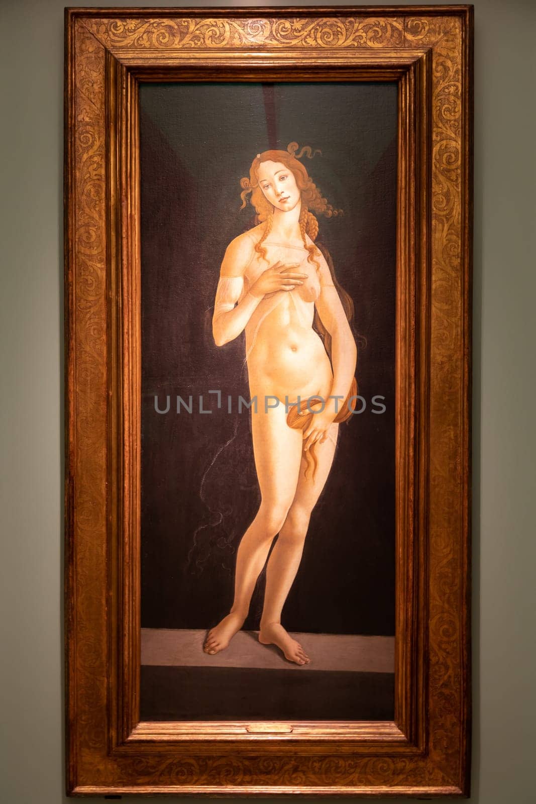 Turin, Italy - April, 2023: the painting of Venus by Sandro Botticelli, oil on canvas, 1490