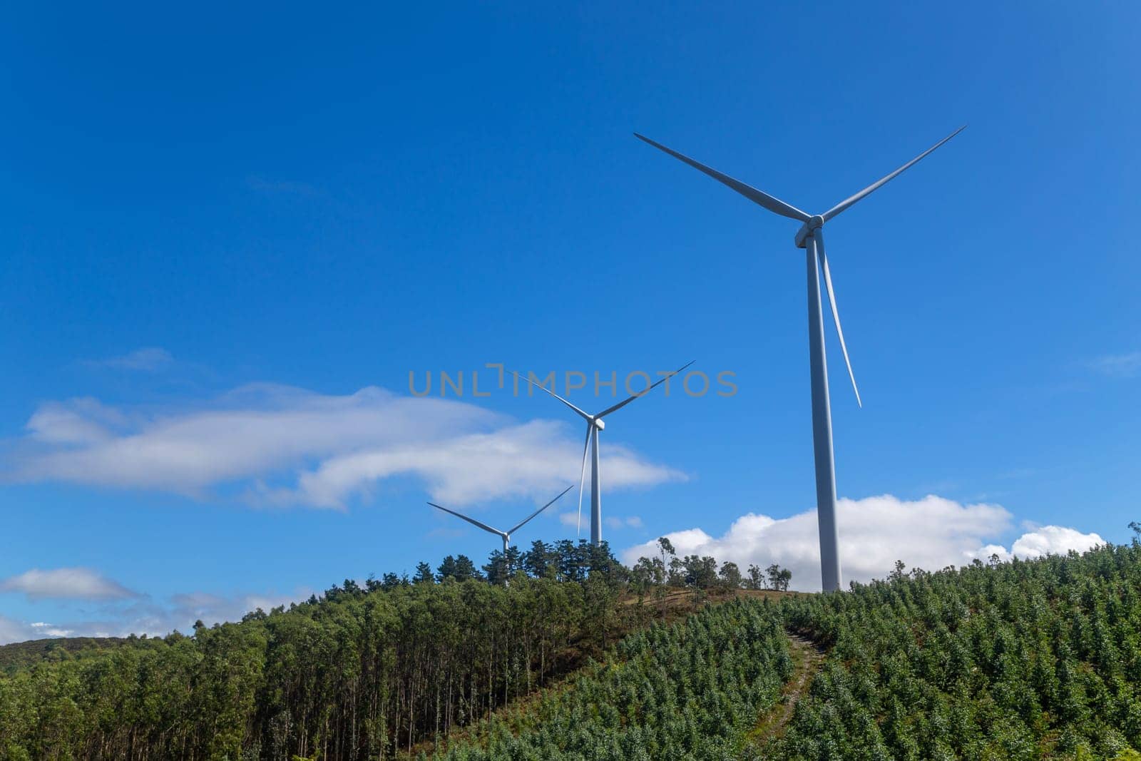 Wind turbines on blue sky in nature. Galiza, North of Spain