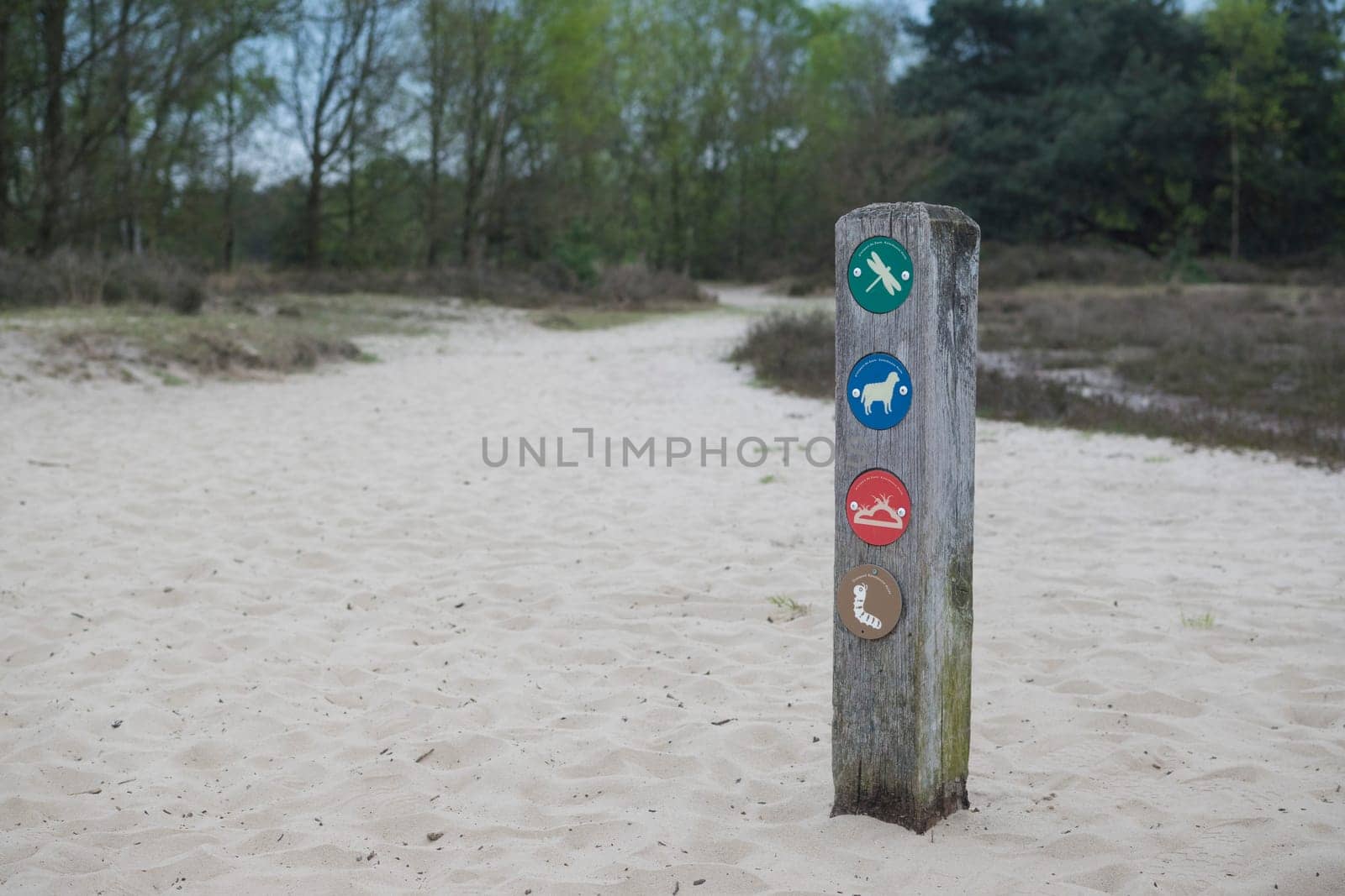 Kalmthout, Belgium, May 2023: Hiking pole with symbols of routes in Kalmthout Heath, one of the biggest nature reserves in Flanders, Belgium