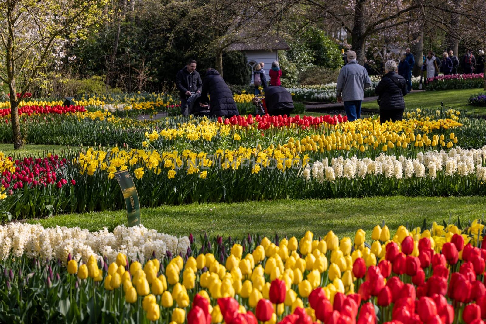 Keukenhof, Lisse Netherlands - April 18, 2023: Visitors at the Keukenhof Garden in Lisse, Netherlands.