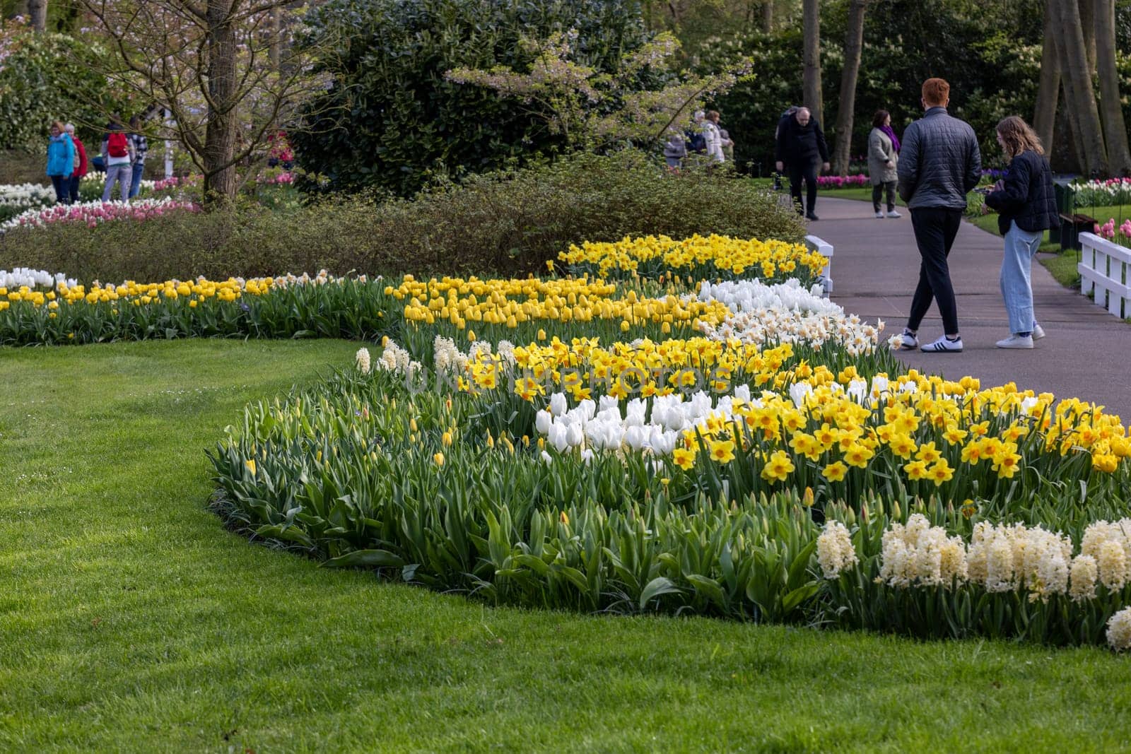 Keukenhof, Lisse Netherlands - April 18, 2023: Visitors at the Keukenhof Garden in Lisse, Netherlands.