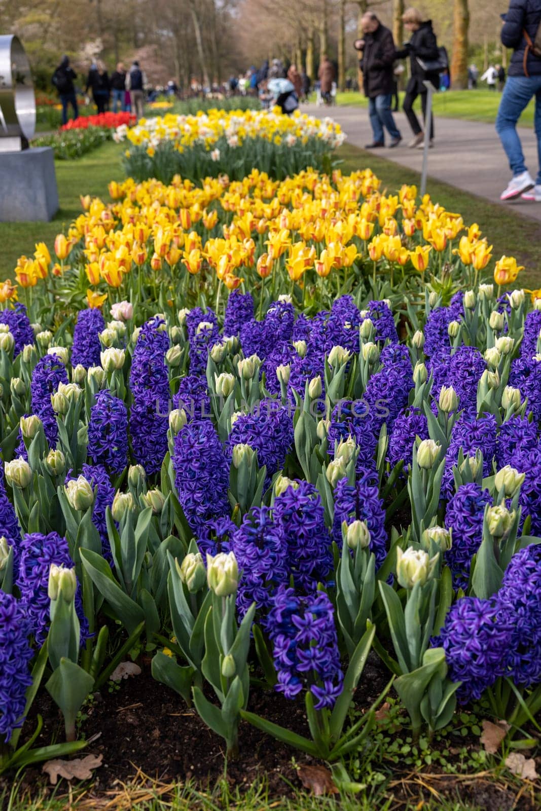 Keukenhof, Lisse Netherlands - April 18, 2023: Visitors at the Keukenhof Garden in Lisse, Netherlands.