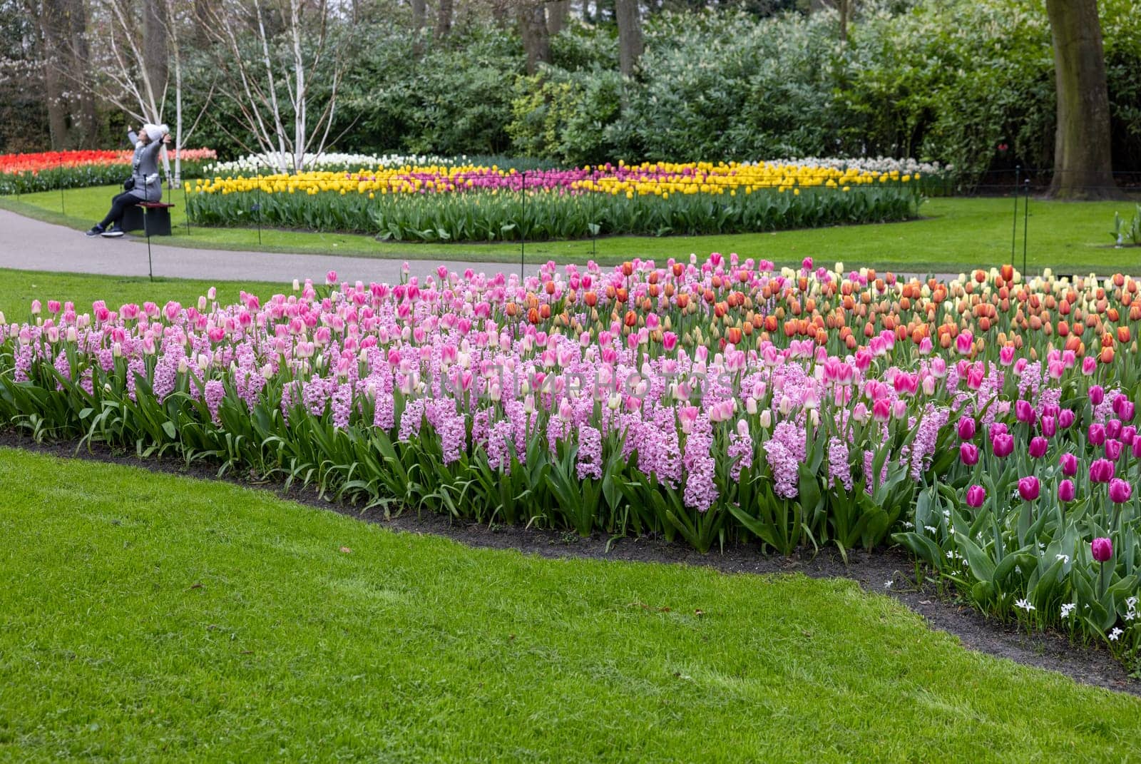 Keukenhof, Lisse Netherlands - April 18, 2023: Visitors at the Keukenhof Garden in Lisse, Netherlands.