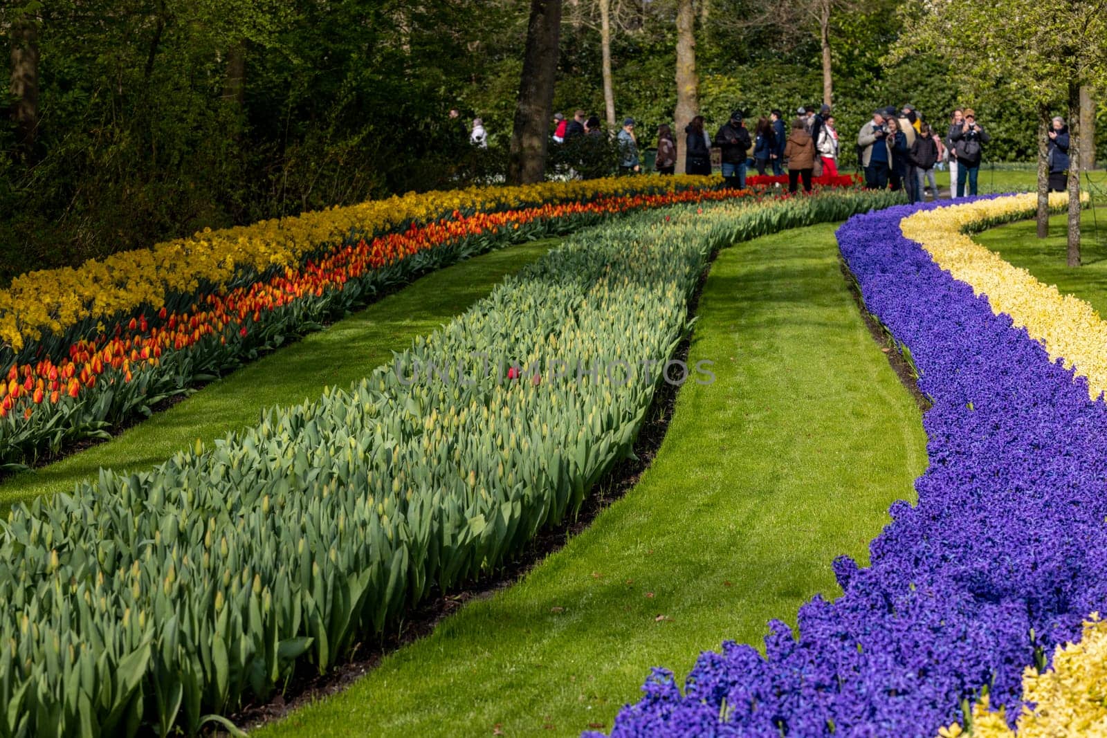 Keukenhof, Lisse Netherlands - April 18, 2023: Visitors at the Keukenhof Garden in Lisse, Netherlands.