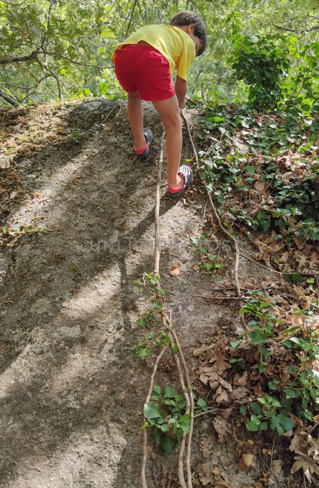 Child boy climbing up a rock with the help of an ivy branch. Summer camp por children concept
