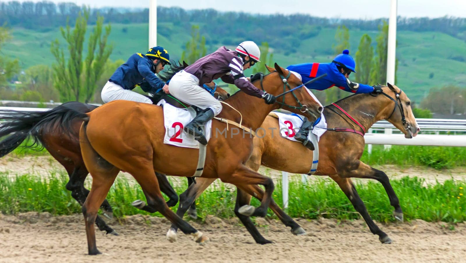PYATIGORSK,RUSSIA - APRIL 30,2023:Race for the prize of the Opening of the racing season at the Pyatigorsk Hippodrome.Jockey Yury Tikhonov in front.