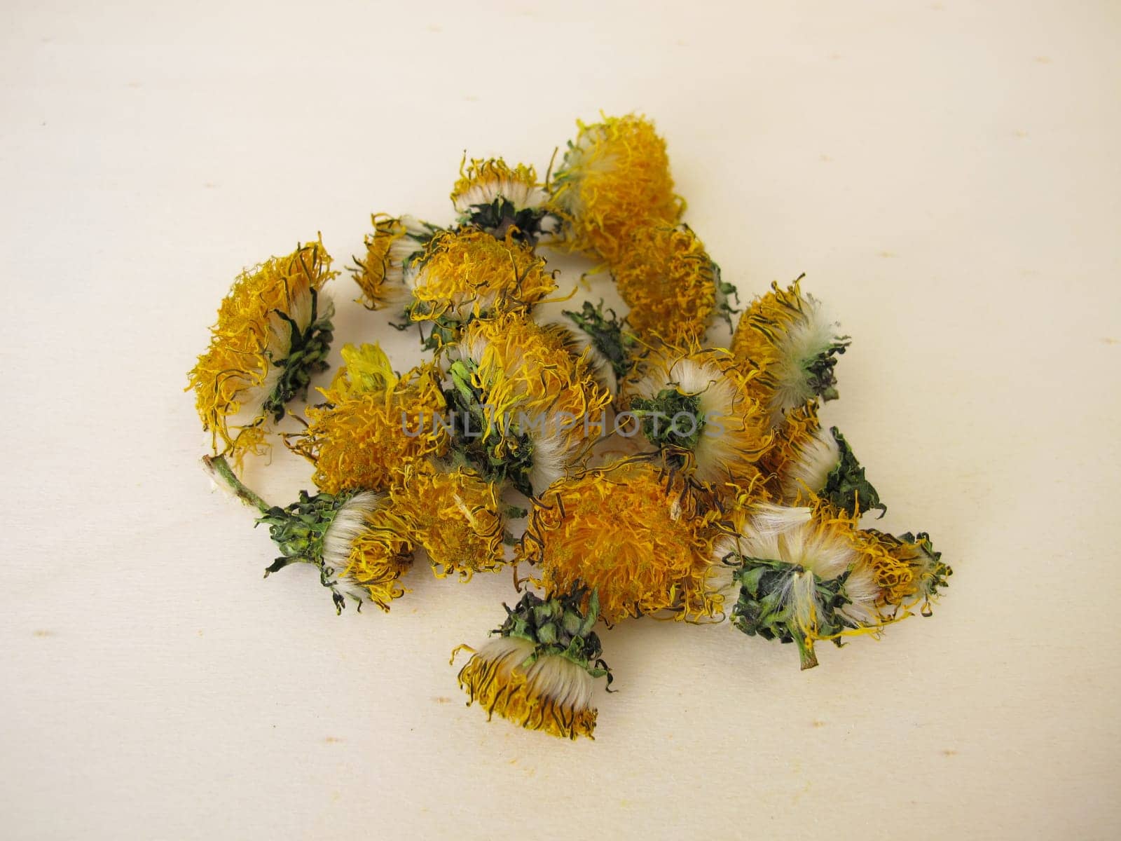 Dried dandelion flowers on a wooden board