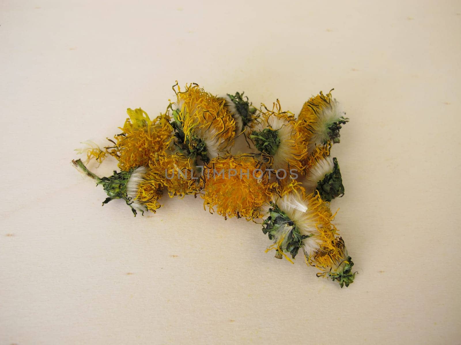 Dried dandelion flowers on a wooden board