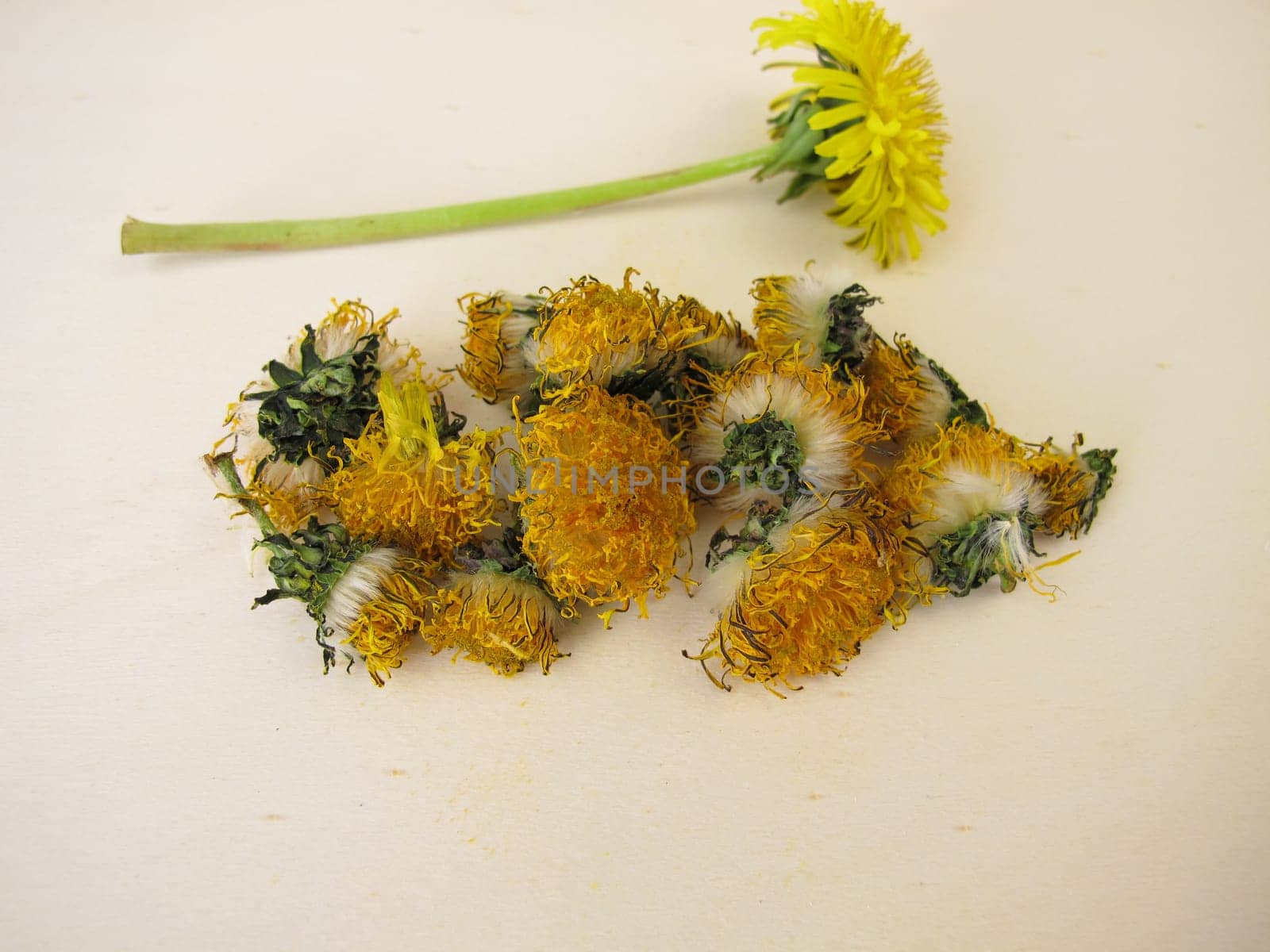 Dried dandelion flowers on a wooden board