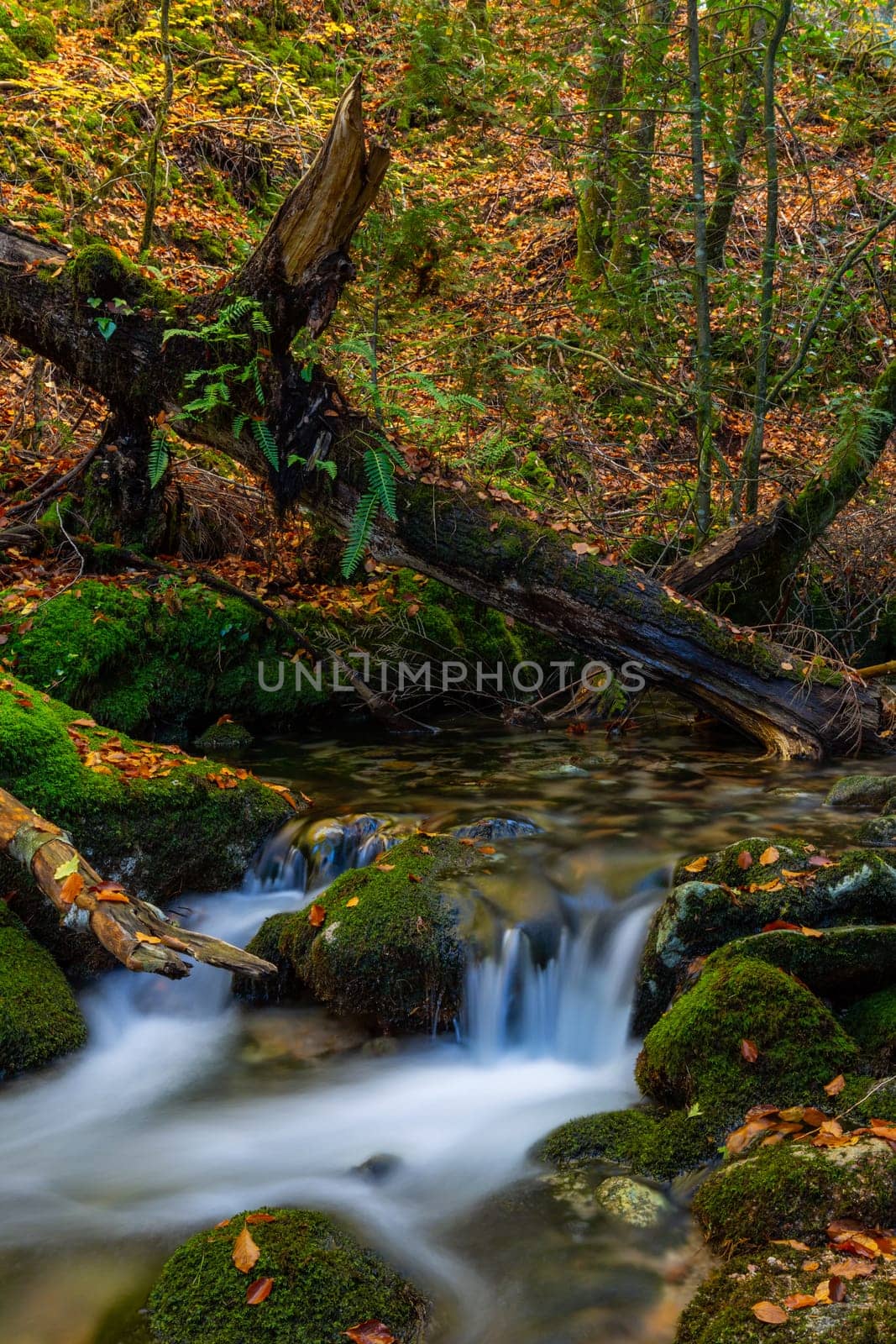 River waterfall in the portuguese national park of Geres, in the north of the country