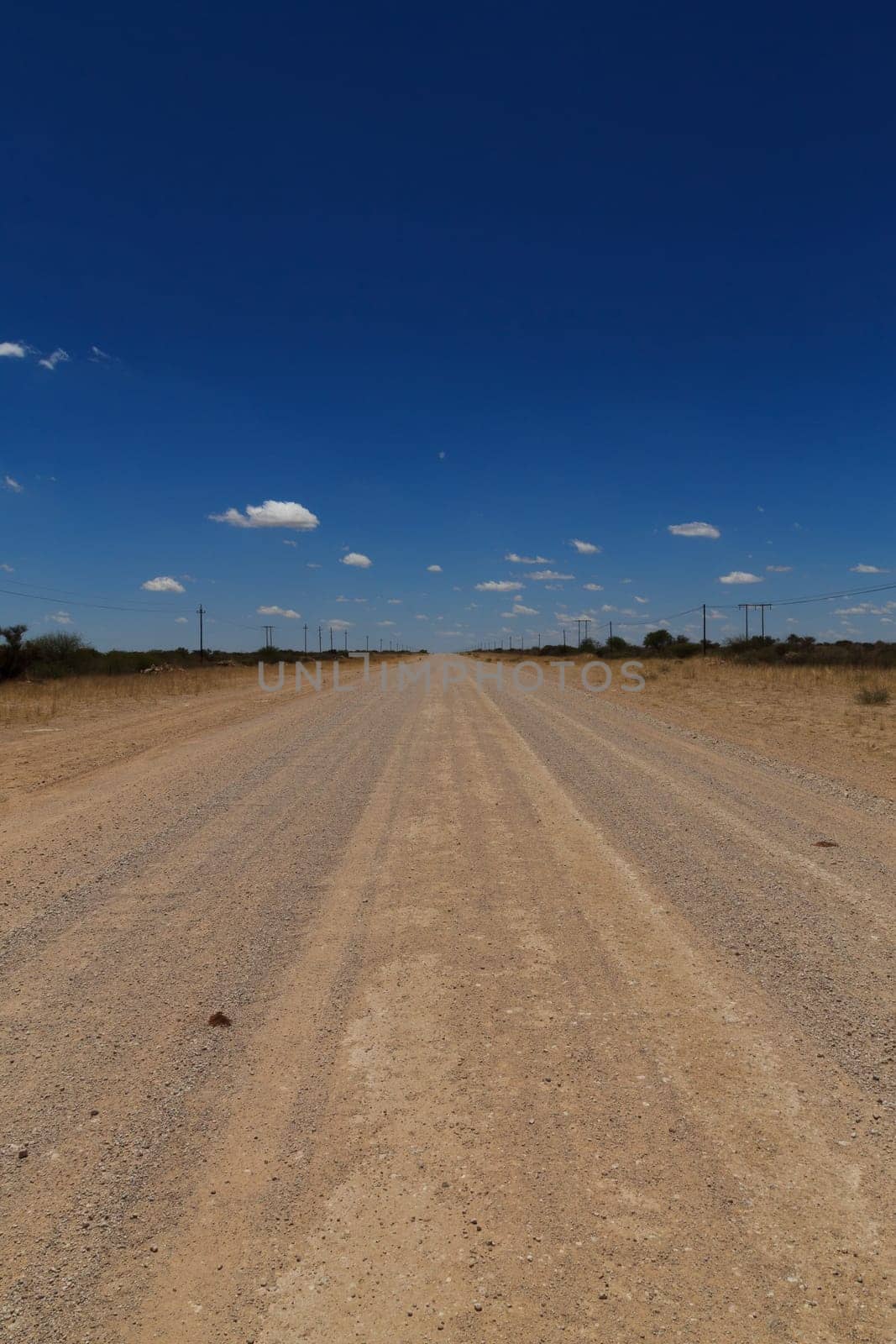 Dirt road out of Mata Mata gate to Kalahari desert